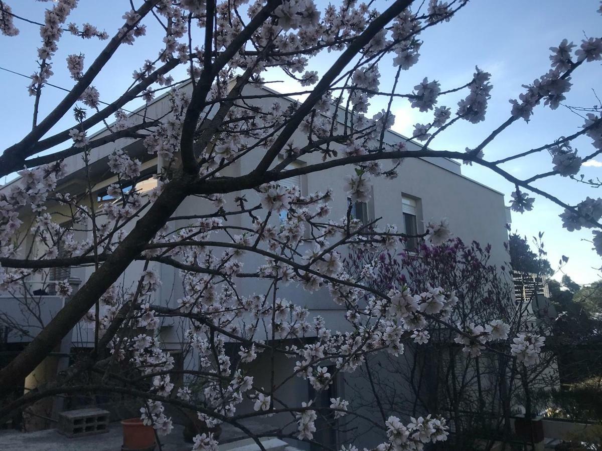 Sunny Garden Διαμέρισμα Οπατία Εξωτερικό φωτογραφία